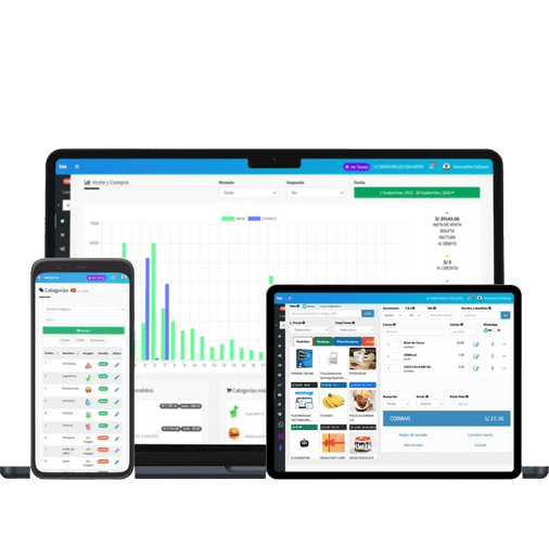 Sistema de Gestion con Facturación Electrónica - Inicio
